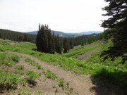 view_at_the_end