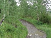 wet_trail