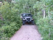 dave_on_the_trail