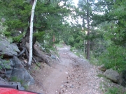 early_trail