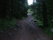 mellow_trail