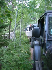 narrow_trail