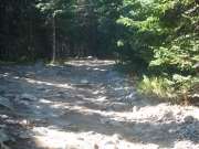 bumpy_trail