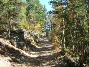 shady_climb
