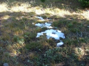 snow_patch