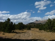 wide_trail