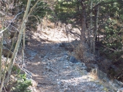 early_trail