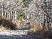 start_of_the_trail