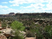 big_view
