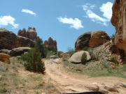 climbing