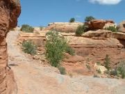 first_switchback