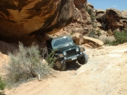 ladd_under_a_rock