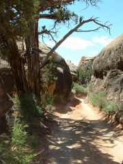 narrow_section