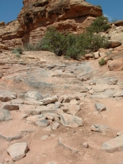 rocky_hill