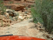 start_of_the_trail