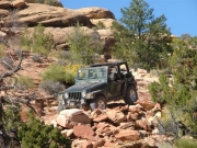bob_in_scenery