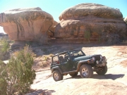 bob_on_the_trail