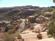 bob_up_elephant_hill