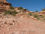 chunky_section
