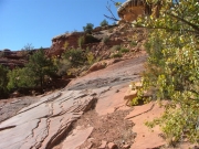 elephant_hill_part_2