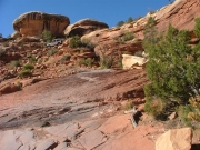 elephant_hill_part_3