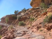elephant_hill_part_4