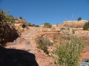 elephant_hill_part_5