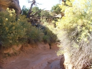 narrow_section_part_2