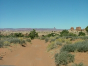sandy_section