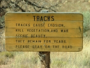 sign_to_stay_on_the_trail