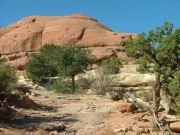 stairs_just_past_elephant_hill