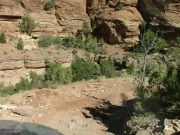 switchback_hill_part_7
