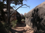 narrow_section