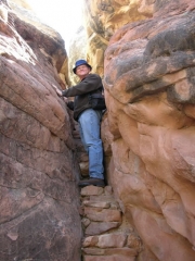 roger_climbing_the_stairs