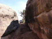 walt_in_the_narrow_section