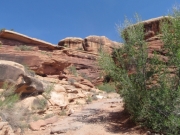 elephant_hill_part_1