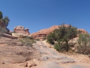 elephant_hill_part_3