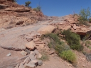 elephant_hill_part_4