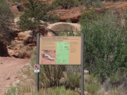 start_of_the_trail