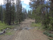 creek_crossing