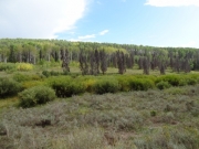 green_hillside
