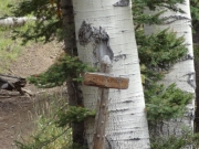 hiking_trail_sign