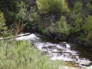 king_solomon_creek
