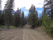 mellow_trail