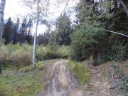 mud_on_the_trail