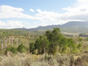 ridge