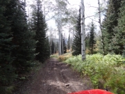 ruts