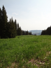 big_view