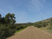early_trail