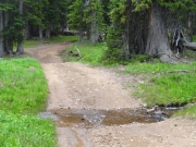elliott_creek_crossing